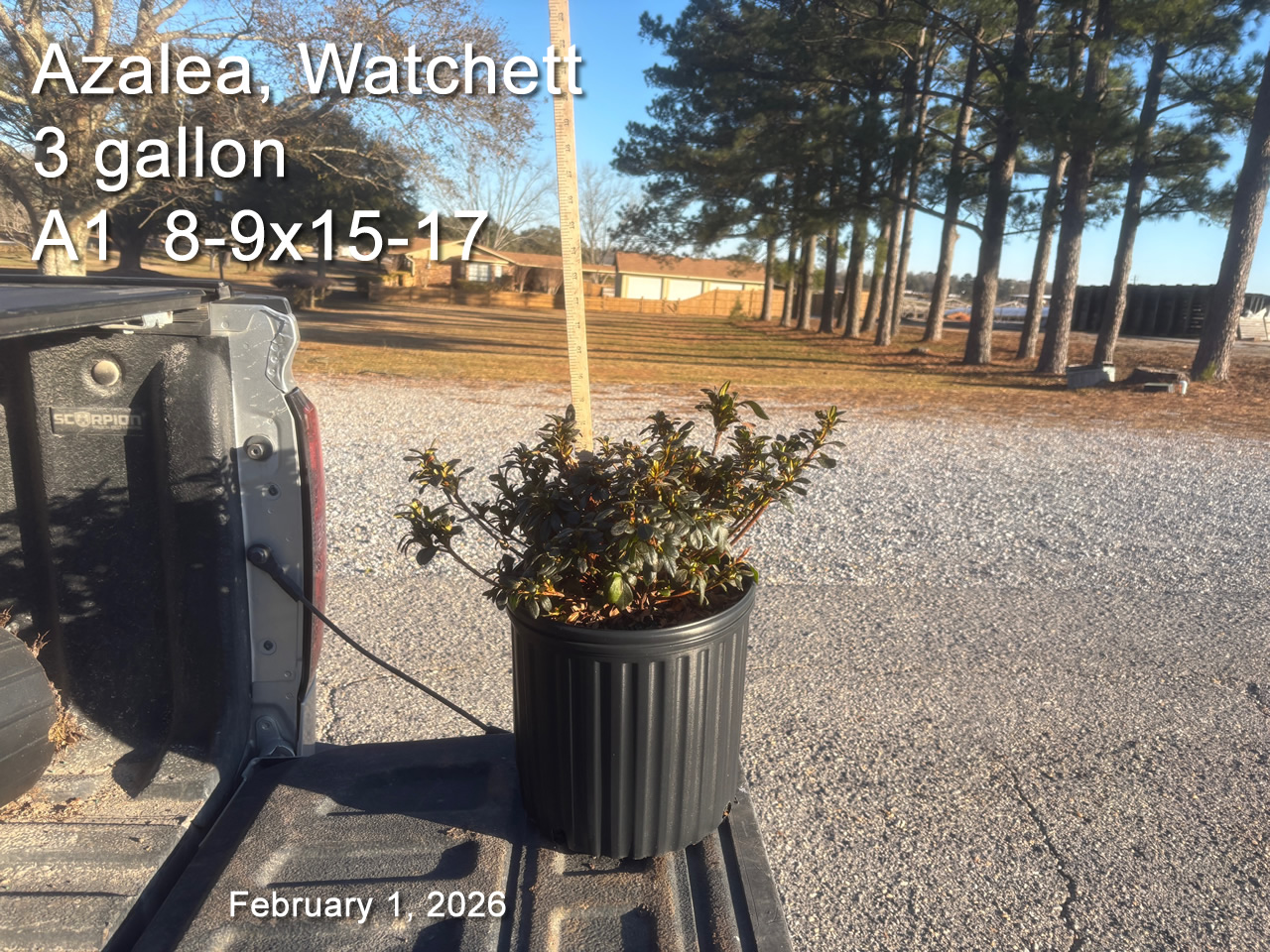 gallery/wat3 a1 feb1.jpg